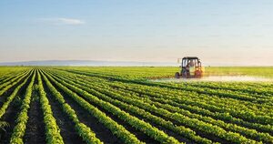 Tecnológica y acompañamiento en el campo, claves para la agricultura del país, según Leandro Meert de FortGreen