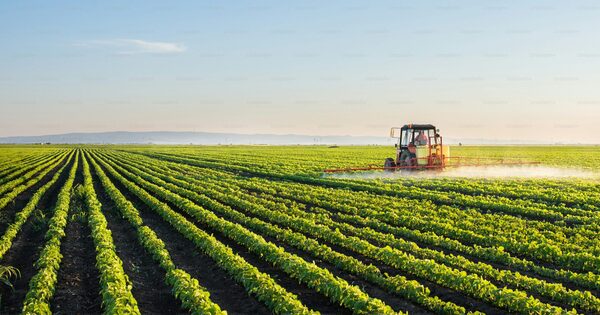 Tecnológica y acompañamiento en el campo, claves para la agricultura del país, según Leandro Meert de FortGreen