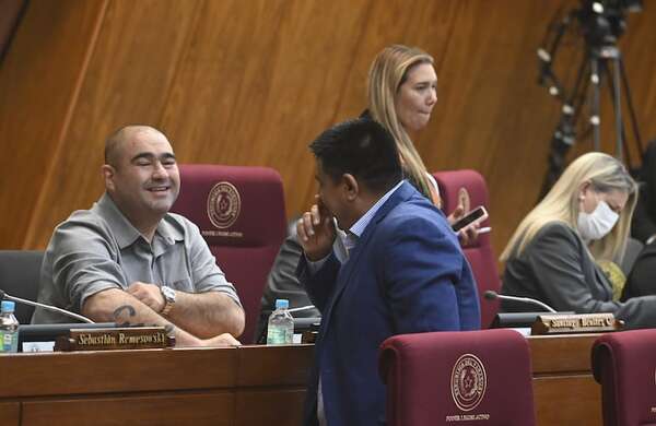 Itaipú: propia comisión del Anexo C de Diputados aumenta grieta - Política - ABC Color