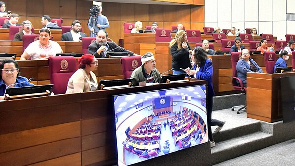 Mafia de pagarés: Senado busca crear una comisión contra trama delictiva
