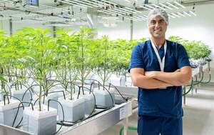 Pharma Industries: pioneros del cannabis medicinal en Paraguay - Negocios - ABC Color