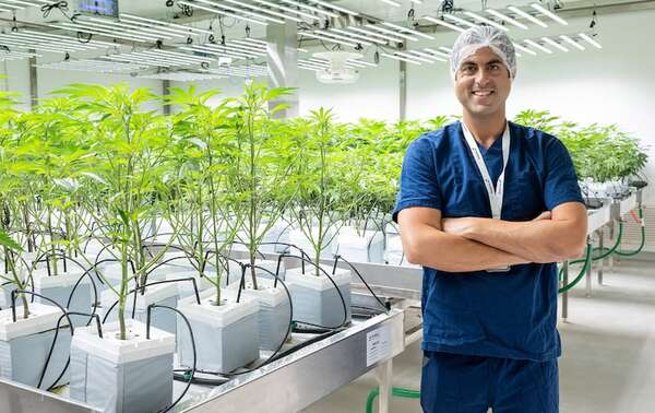 Pharma Industries: pioneros del cannabis medicinal en Paraguay - Negocios - ABC Color