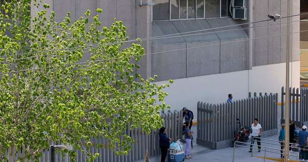 La Nación / Muere: niña de 3 años falleció por gripe aviar H5N1