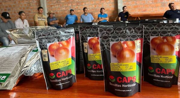 Impulsan la producción de cebolla en Itapúa