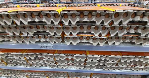 Diario HOY | Según Avipar, precio del huevo ya descendió 10% en algunos comercios