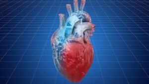 Una nueva terapia génica permitiría tratar una devastadora enfermedad rara del corazón