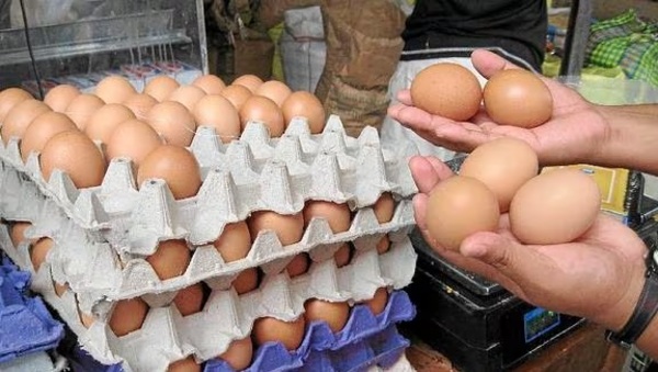 Precio del huevo ya cuesta 10% menos en algunos comercios, afirman - ADN Digital