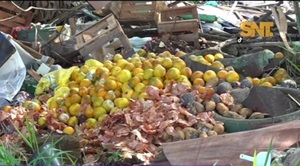 Denuncian entrega de frutas en mal estado en escuelas del Área 1 dentro del programa Hambre Cero - SNT