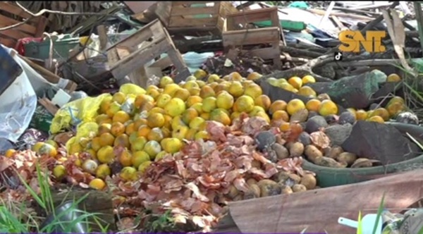 Denuncian entrega de frutas en mal estado en escuelas del Área 1 dentro del programa Hambre Cero - SNT
