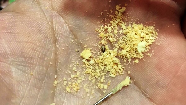 Bella Vista: Hallan una aguja en chipita de Hambre Cero