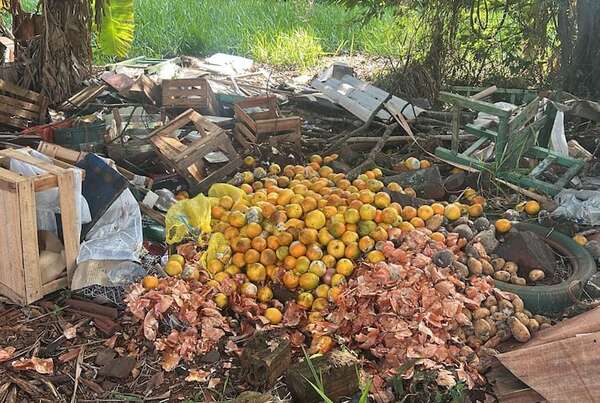 Hambre Cero: denuncian entrega de naranjas podridas y otras precariedades - ABC en el Este - ABC Color