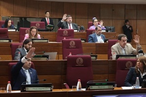 Senado crea Comisión de Investigación sobre «Mafia de los Pagarés»
