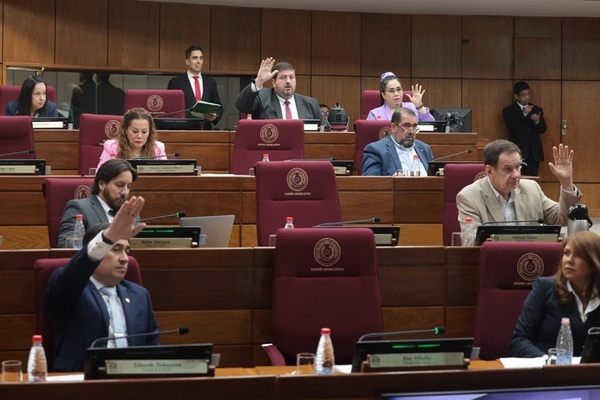 Senado crea Comisión de Investigación sobre «Mafia de los Pagarés»