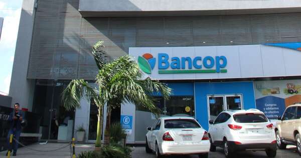 La Nación / Bancop habilita nuevo producto “Préstamo Agricultura Sostenible”