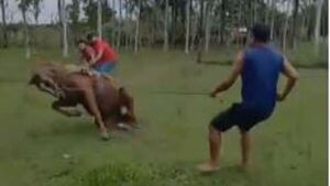 Ordenan detención por golpes a caballo: “Estas prácticas para adiestrar no tienen por qué ser así”