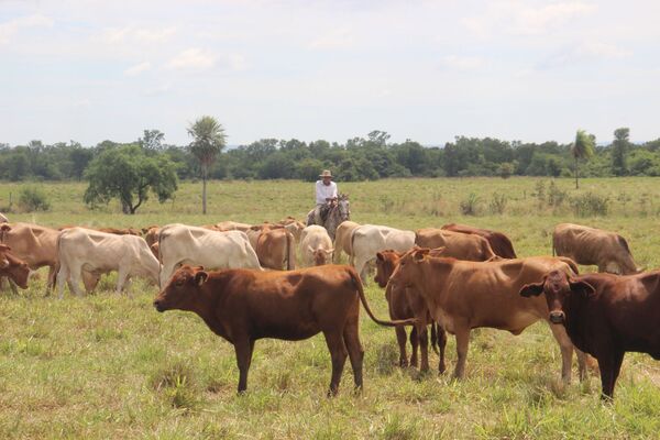 ARP y SENACSA instalan mesa de diálogo para atender inquietudes del sector productivo