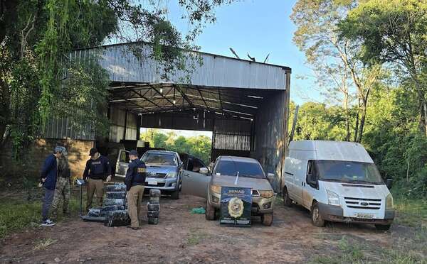 Senad interviene punto de “enfriamiento” de marihuana en la frontera con el Brasil - Nacionales - ABC Color