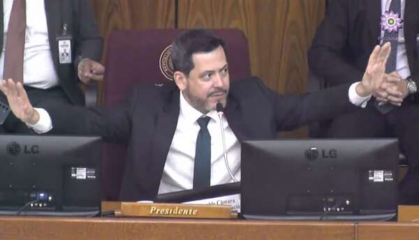 Video: el “puentazo” no fue suficiente en Diputados y hoy hubo “clases” sobre cómo votar - Política - ABC Color