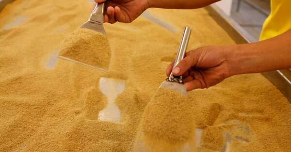 La Nación / Destacan creciente interés del mercado de Taiwán en productos orgánicos de Paraguay