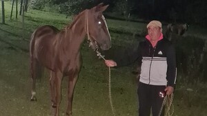 Maltrato animal: Dueño del caballo es detenido por brutal golpiza y buscan a un cómplice