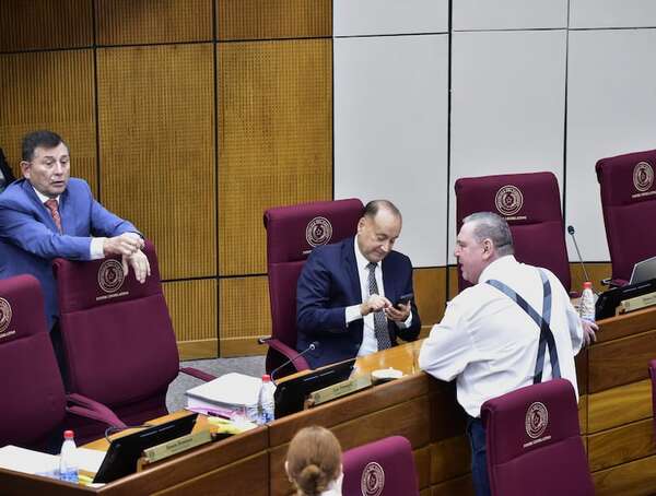 Senado amplía salas del Tribunal de Cuentas, la favorita de corruptos para evadir la Contraloría - Política - ABC Color