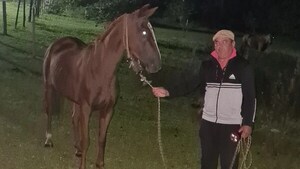 Detienen al dueño del caballo brutalmente golpeado en Misiones