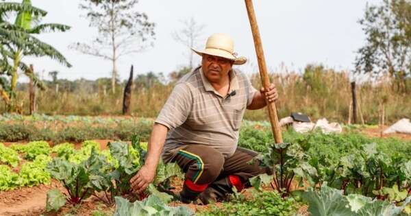 La Nación / Gobierno apunta a comprar 100 % de insumos a agricultura familiar para Hambre Cero, afirma ministro
