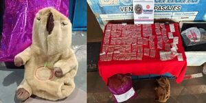 ENCUENTRAN DROGAS ESCONDIDAS EN UN PELUCHE EN CONCEPCIÓN