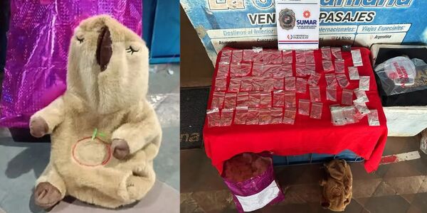 ENCUENTRAN DROGAS ESCONDIDAS EN UN PELUCHE EN CONCEPCIÓN