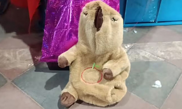 Lo que ocultaba un tierno peluche de capibara en su interior - OviedoPress