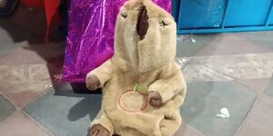 Concepción: Capibara de peluche escondía cocaína y drogas sintéticas en encomienda