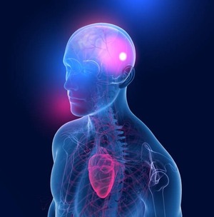 ¿Un trauma del lado izquierdo del cerebro sería más grave? - Portal Digital Cáritas Universidad Católica