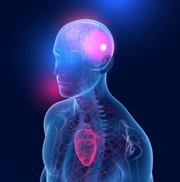 ¿Un trauma del lado izquierdo del cerebro sería más grave? - Portal Digital Cáritas Universidad Católica