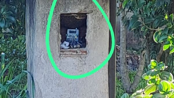 Abejas furiosas persiguieron y atacaron a una familia