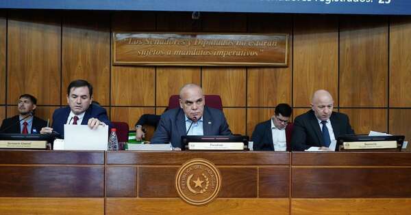 La Nación / Titular del Congreso condena racismo contra delegación de Cerro Porteño en Brasil