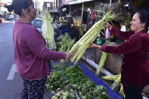 Los precios de las palmas para la bendición el Domingo de Ramos - Nacionales - ABC Color