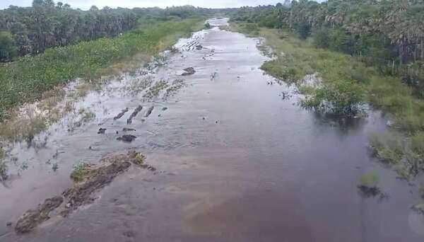 Desborde de lagunas y riachos inundan camino de acceso a poblaciones del Alto Paraguay - Noticias del Chaco - ABC Color