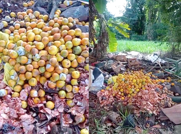 Hambre Cero: Naranjas podridas fueron reemplazadas por empresa proveedora - La Clave
