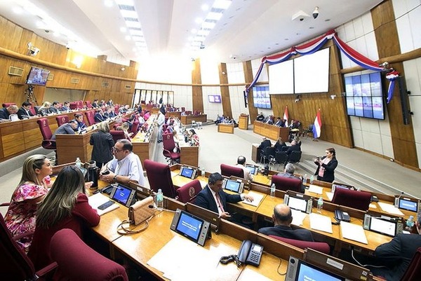Diputados respaldan declaración de emergencia para tres departamentos del Chaco - ADN Digital