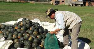 La Nación / Prevén primer envío de zapallo a Uruguay