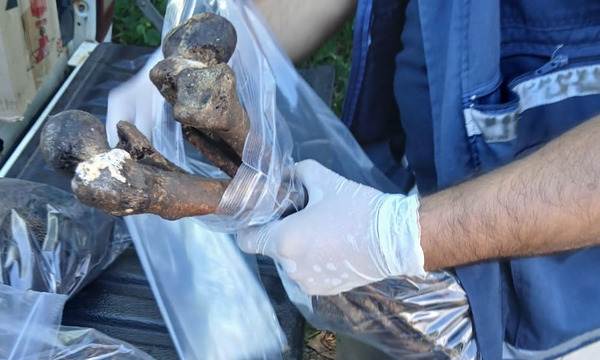 Hallan restos humanos en Iturbe, madre reconoce ropa de su hijo desaparecido hace casi dos años - OviedoPress