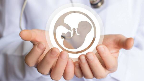 Diputados piden al Estado garantizar acceso gratuito a tratamientos de fertilidad - ADN Digital