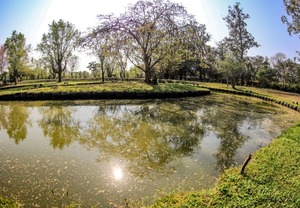 Se espera un domingo nublado con ambiente agradable - .::Agencia IP::.