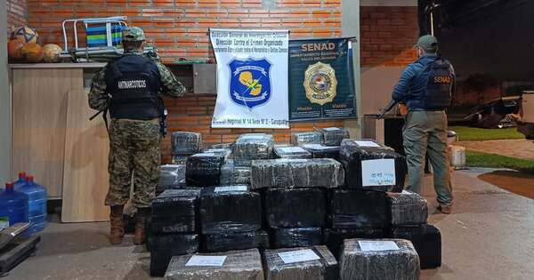 La Nación / Policía se incauta de 1.445 kilos de marihuana y un vehículo en Canindeyú