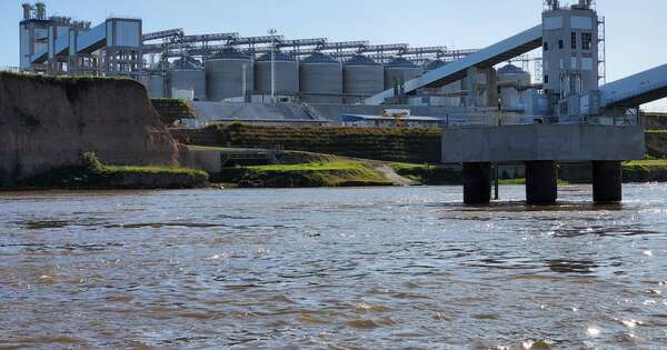 La Nación / Participación de las industrias aceiteras en el complejo soja en febrero subió al 20 %