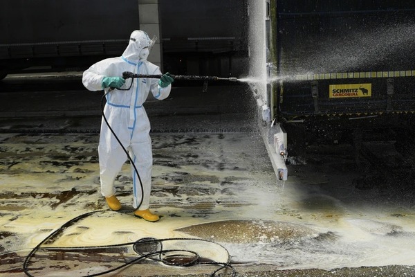 Brote de fiebre aftosa golpea a Europa Central - 1000 Noticias