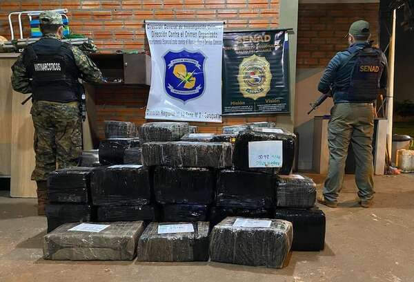 Incautan 1,4 toneladas de marihuana en zona fronteriza de Canindeyú - Policiales - ABC Color