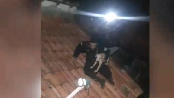 ¡¿Qué pasó, Firu?! Policías rescataron a un perro atrapado en el techo de una casa