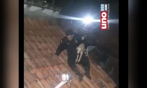 Karai escuchó ruidos en su techo, creyó que era un mondaha y se encontró con un firulais que fue resctado