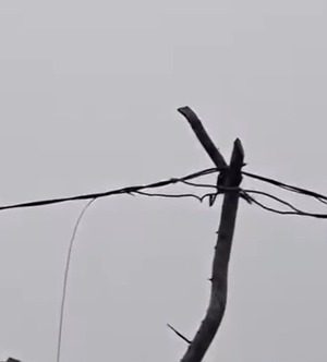 Padre e hijo mueren electrocutados en Hernandarias - 1000 Noticias
